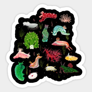 Nudibranch Sticker